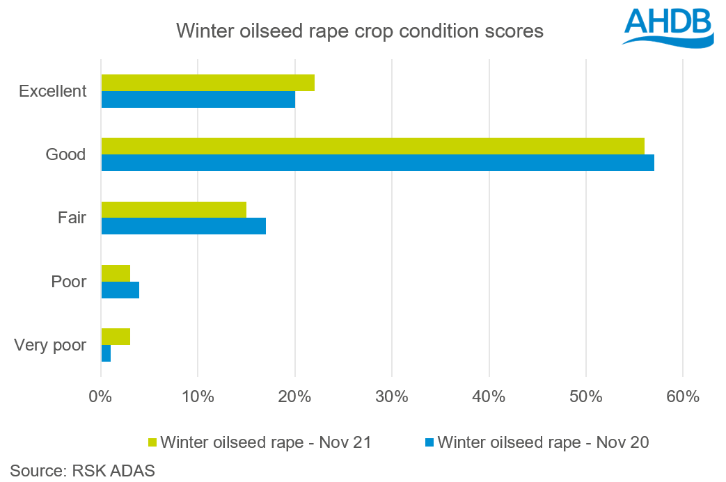 Winter oilseed rape crop condition results as of November 2021